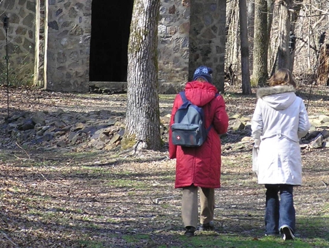 walking in woods
